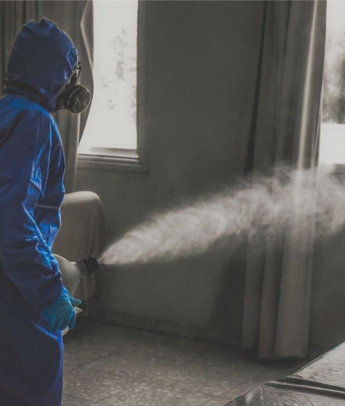 This image for Image Layouts addon